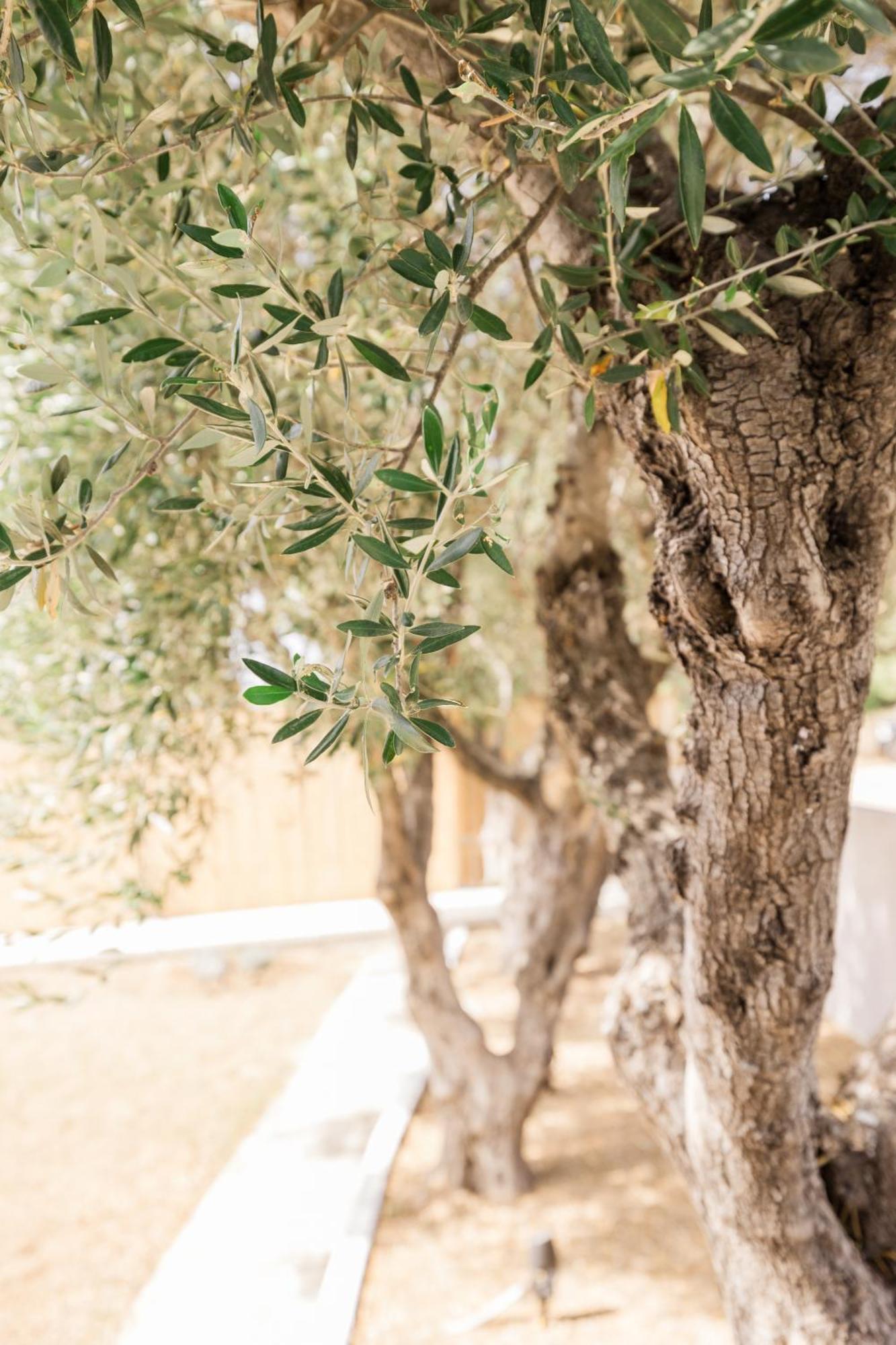 Topos Apartamento Lassi (Kefalonia)